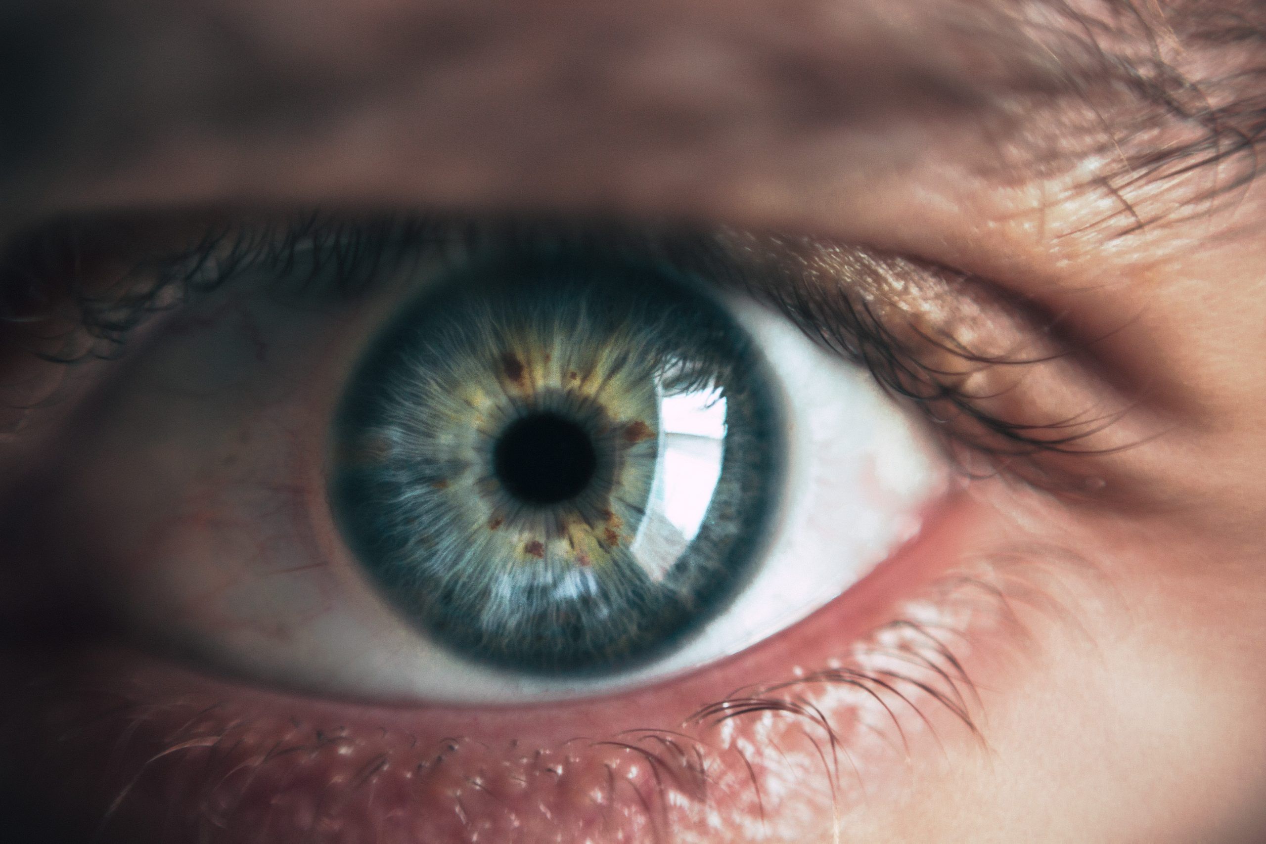 Ojo humano visto de muy cerca