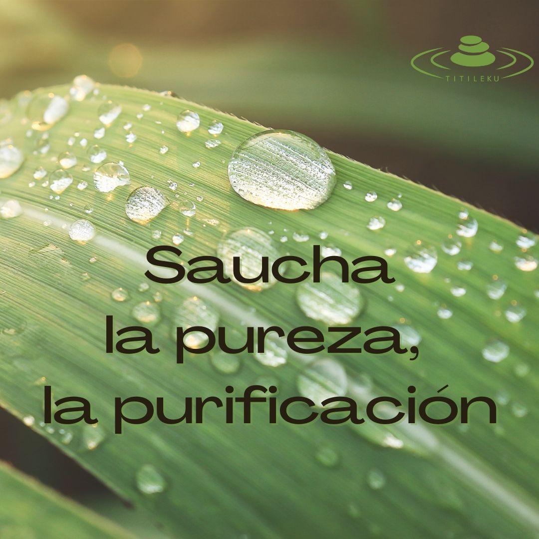 Fotografía de una hoja con gotas de agua cuyo texto dice "Saucha la pureza, la purificación. Titileku"